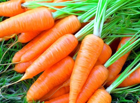 Морковь, ее применение